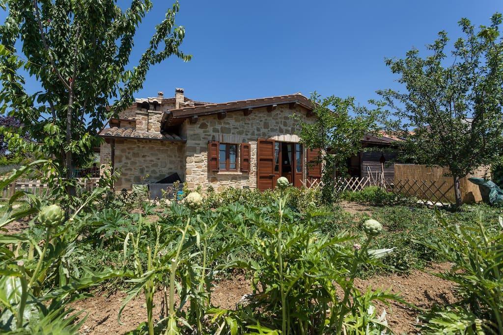 Il Belvederino Bed & Breakfast Brufa Exterior photo